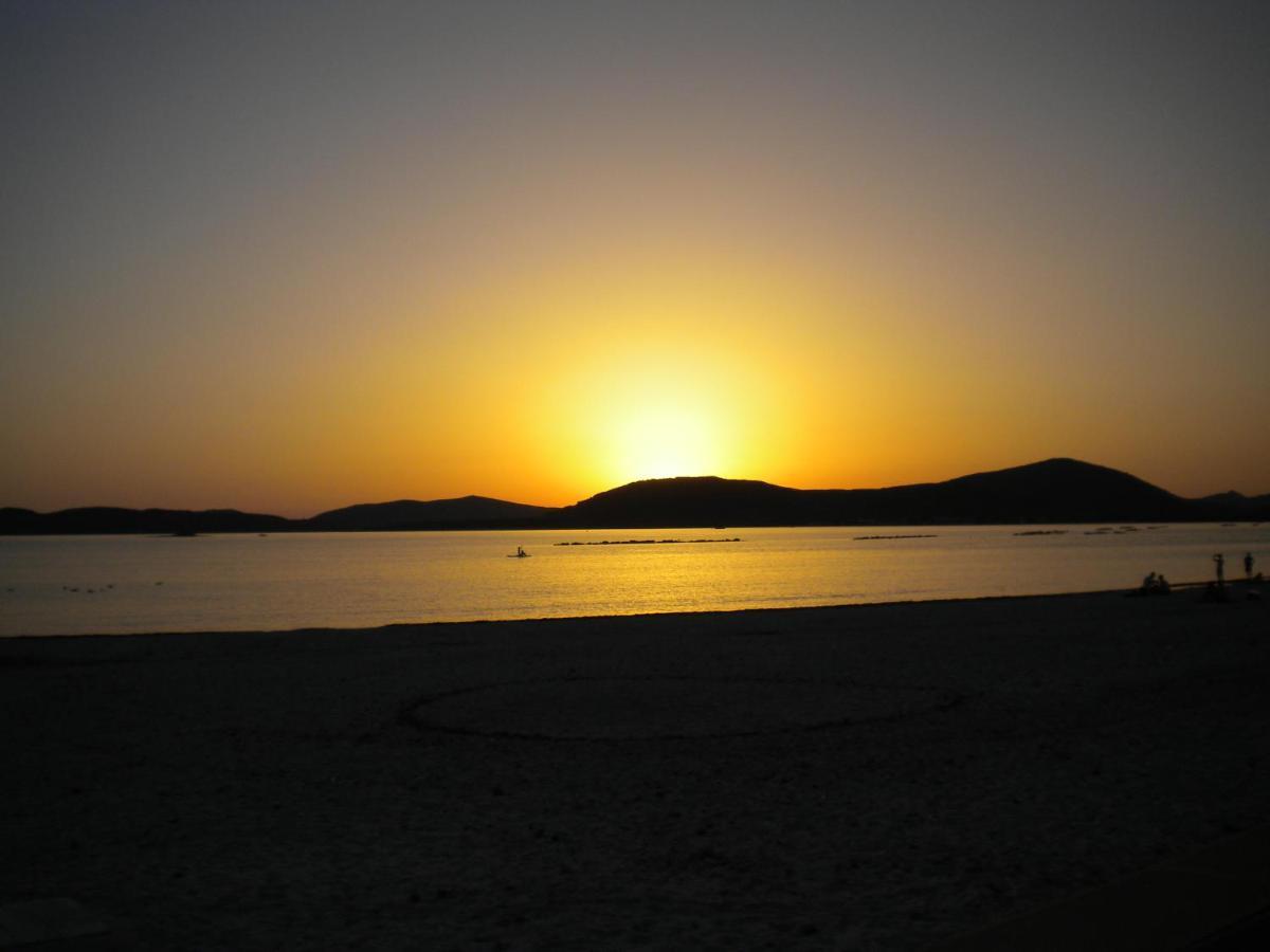 Passi Alterni Apartments Alghero Dış mekan fotoğraf